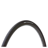 Panaracer Catalyst Wired Road Tyre showing durable tread pattern and sidewall design for all-weather performance and grip.
