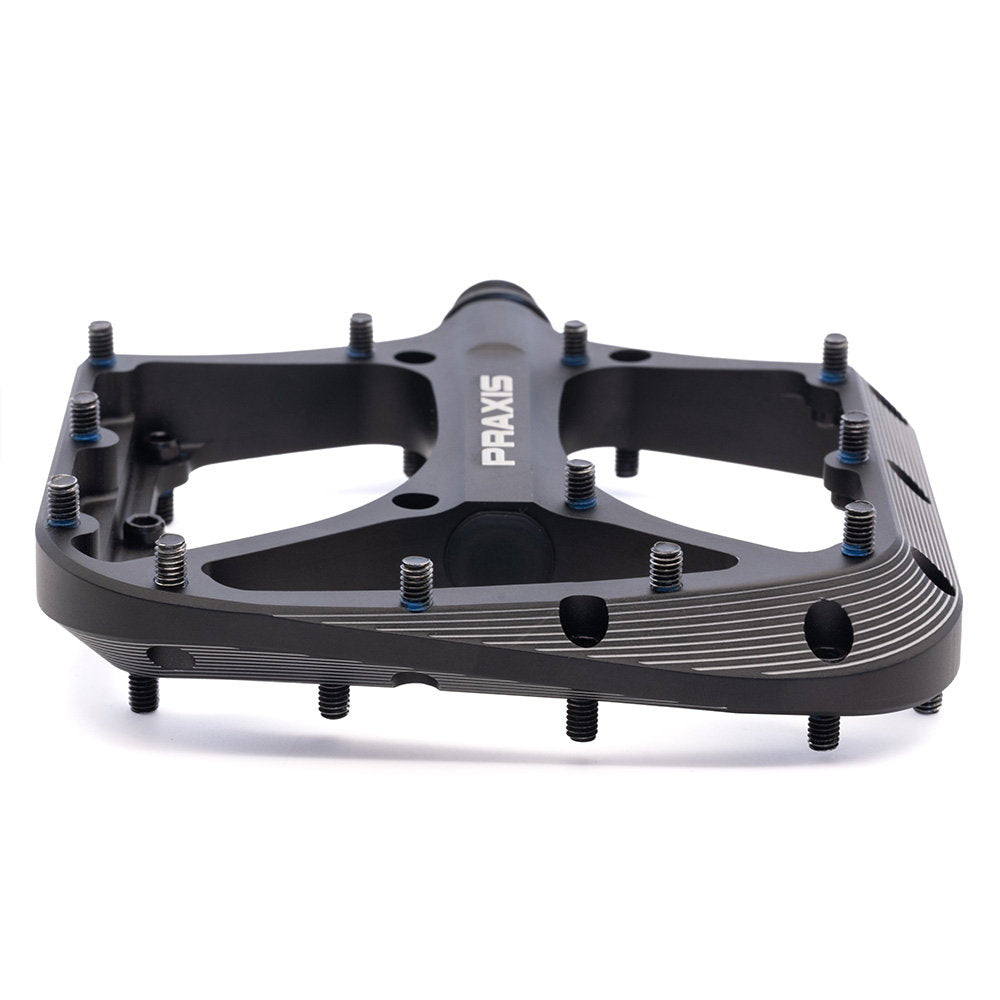 Praxis -Brodium G2 Pedal