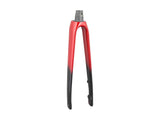 Trek Emonda ALR 5 road bike forks for 2023/2024, showcasing lightweight components with sleek design for improved steering.