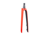 Trek Madone SLR road bike forks, rigid components, designed for precise steering and control on high-performance road bicycles.