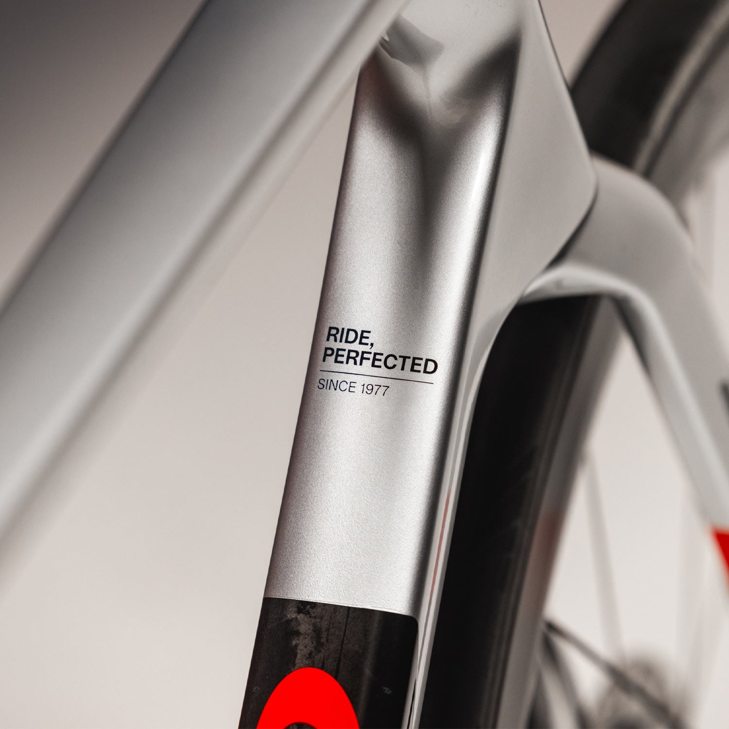 Basso Bikes SV Road Frameset