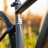Basso Bikes Vega Alu Gravel GRX Gravel E-Bike