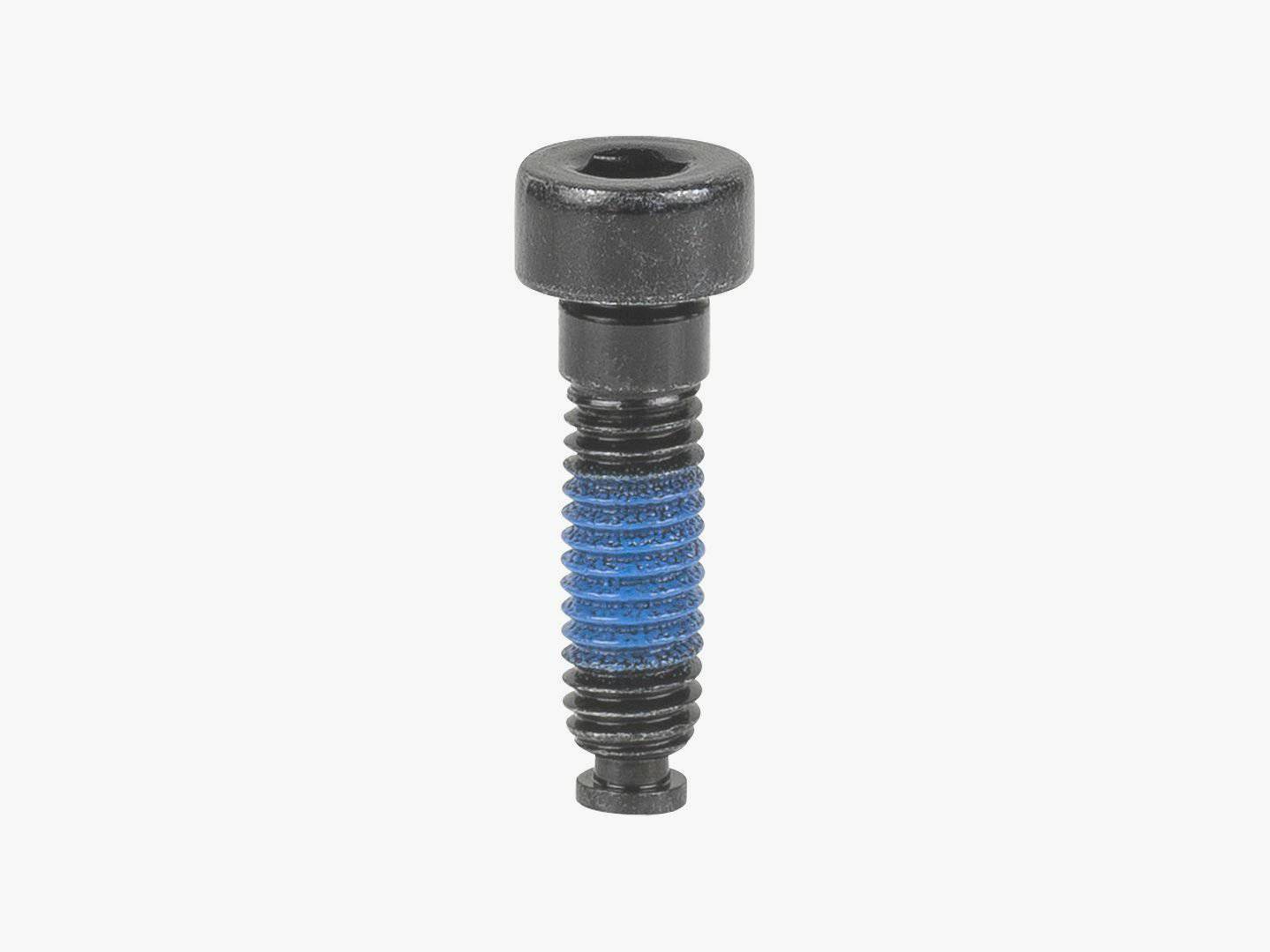 Trek Domane Gen4 bike seatpost wedge bolt, M6 x 22mm, black, for secure fastening of bike components.