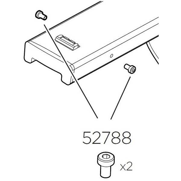 Pair of Thule Yepp Maxi replacement outside screws for child seat mounting, shown in close-up on a neutral background.