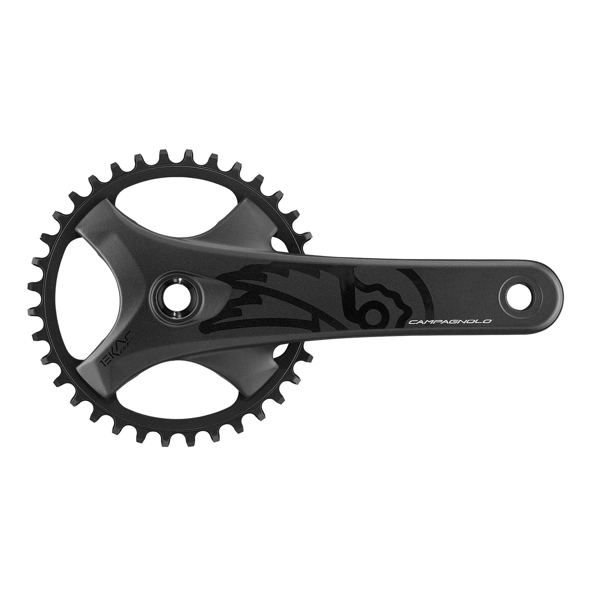 Campagnolo Ekar GT 13x chainset cranks for gravel and all-road cycling, showing the silver crank arms and chainring details.
