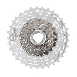 Campagnolo Super Record Ultra 13-speed cassette for high-performance cycling gear shifts, showing the metal cogs and branding.