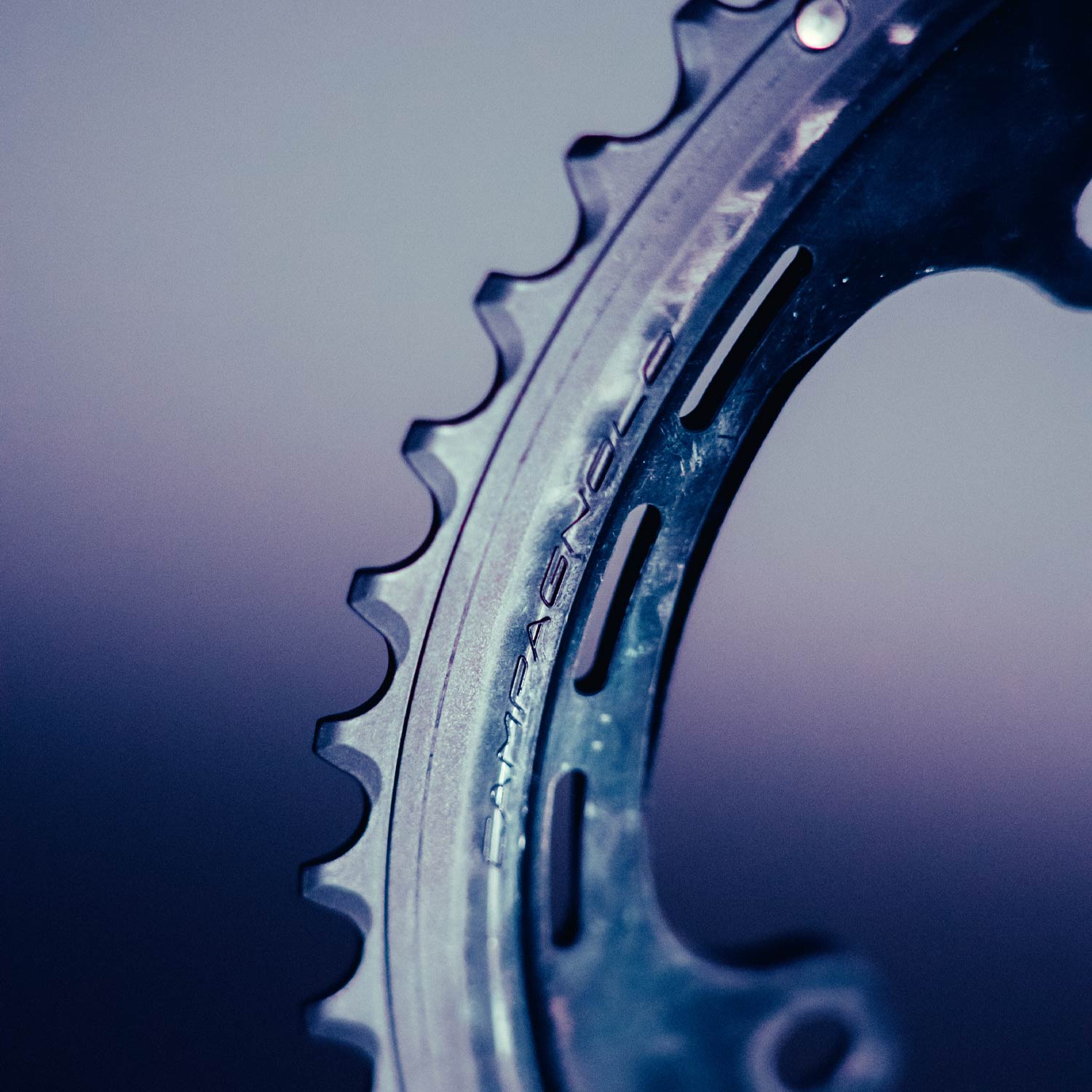 Campagnolo Super Record Ultra 13x Chainring