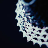Campagnolo Super Record Ultra 13-speed cycling drivetrain components, including crankset, derailleur, and cassette, on a white background.