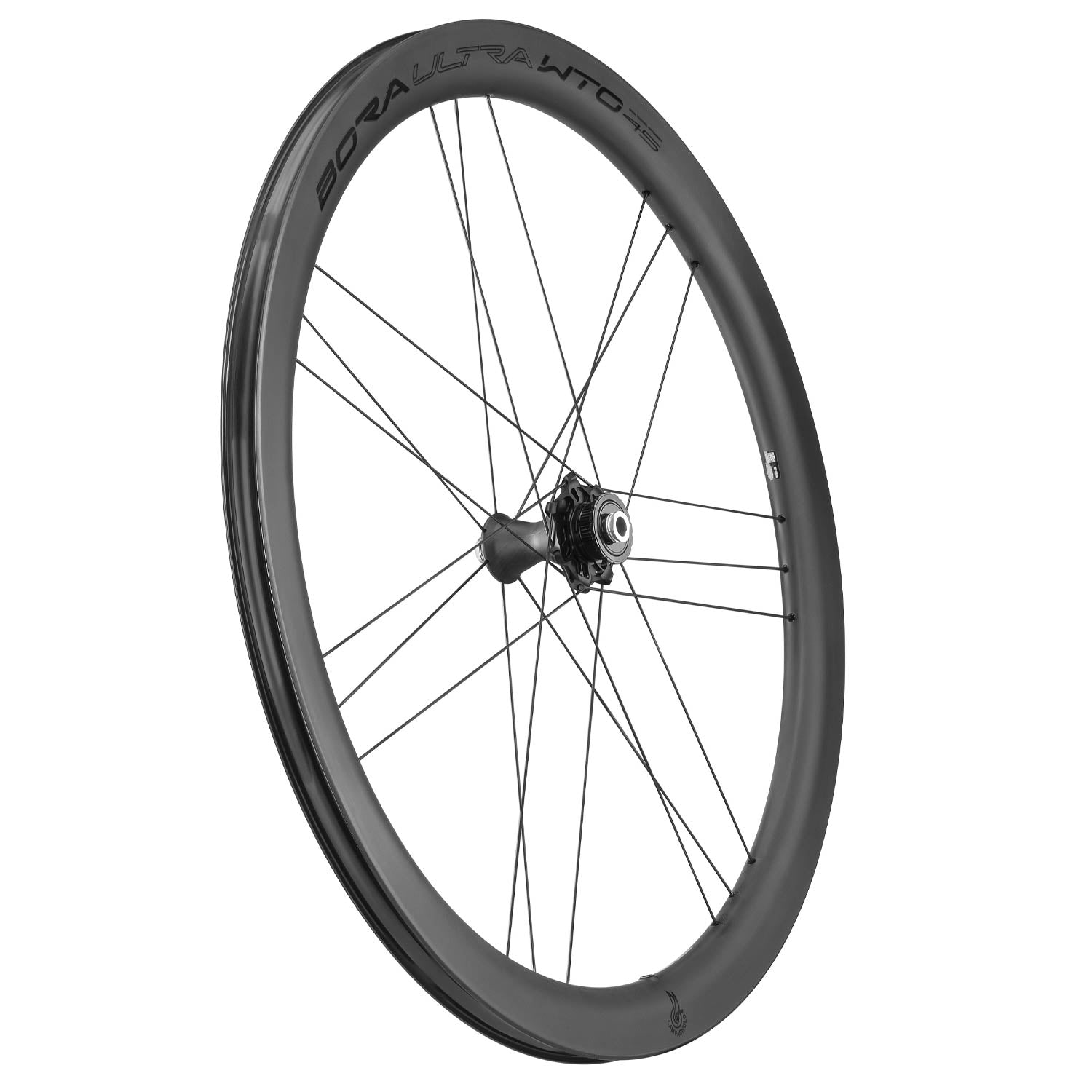 Campagnolo Bora Ultra WTO 45 2-Way C23 Matt Disc