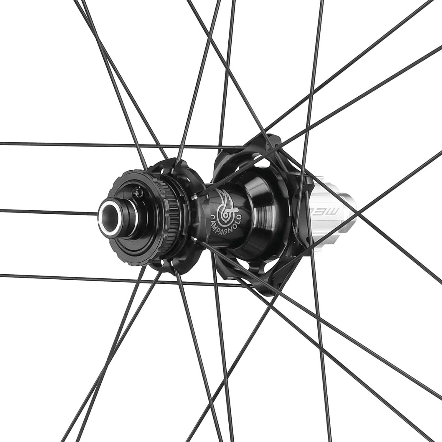 Campagnolo Shamal Dual Profile 2-Way C23 disc road and gravel wheels with black rims and silver spokes, mounted on a bike.