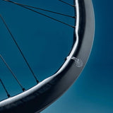 Campagnolo Shamal Dual Profile 2-Way C23 disc road and gravel wheel set with aerodynamic carbon rims and alloy hubs.