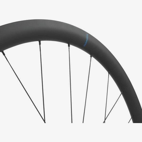Shimano GRX WH-RX880 700C rear wheel with 12-speed Micro Spline hub and center lock disc brake mount.