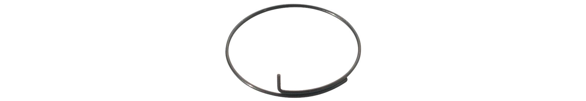 Bontrager DT Swiss Onyx pawl spring for rear hub, compatible with Race Lite Rhythm Elite, 130/135mm OLD, component part.