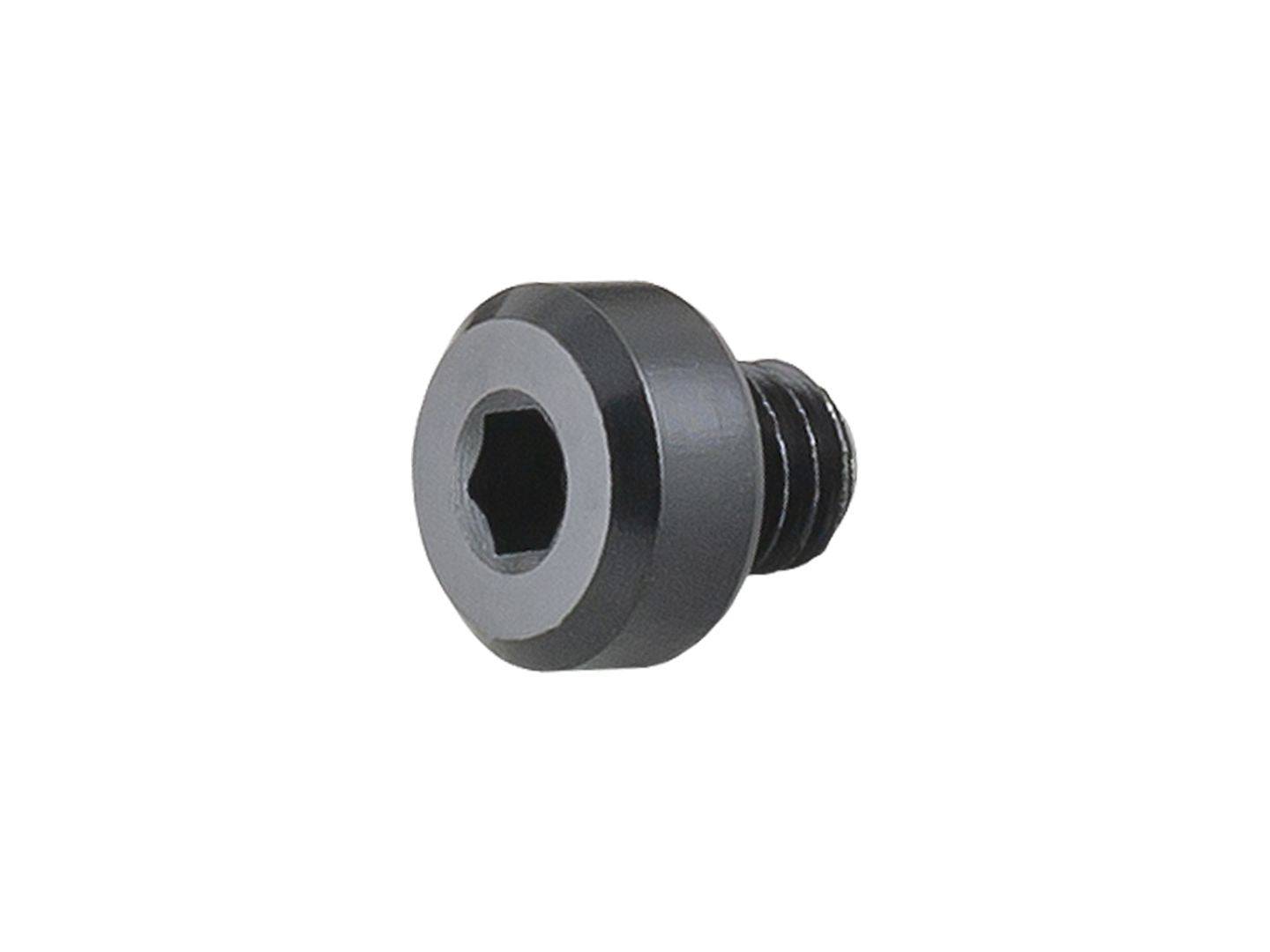 Trek Madone Speed Concept derailleur hanger bolt, M4 x 4mm, black button head, bicycle component for bike maintenance.