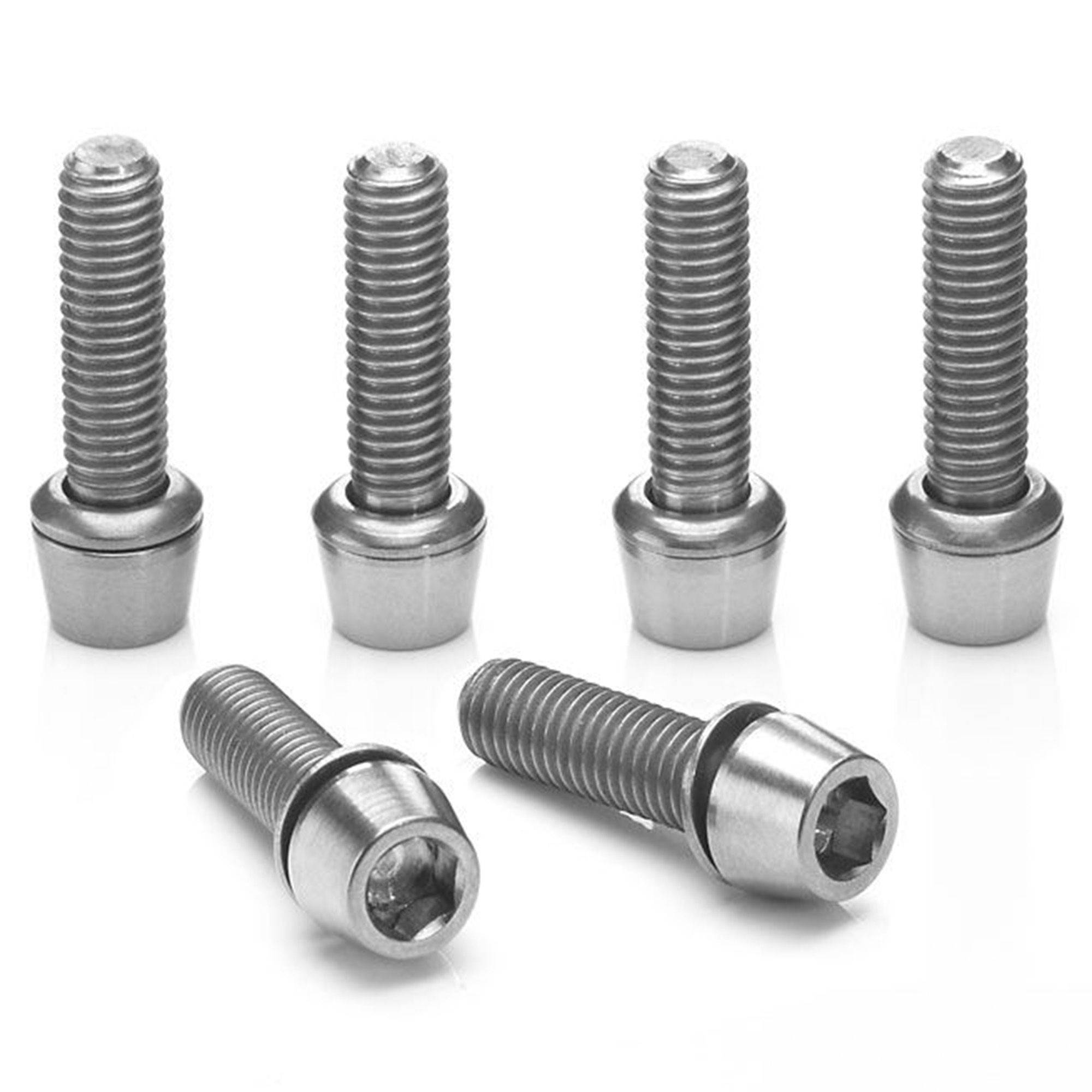 Ritchey Classic C220 Stem Replacement Bolt Set: SILVER | Swinnerton Cycles