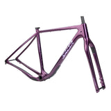 Salsa Cutthroat C Frameset