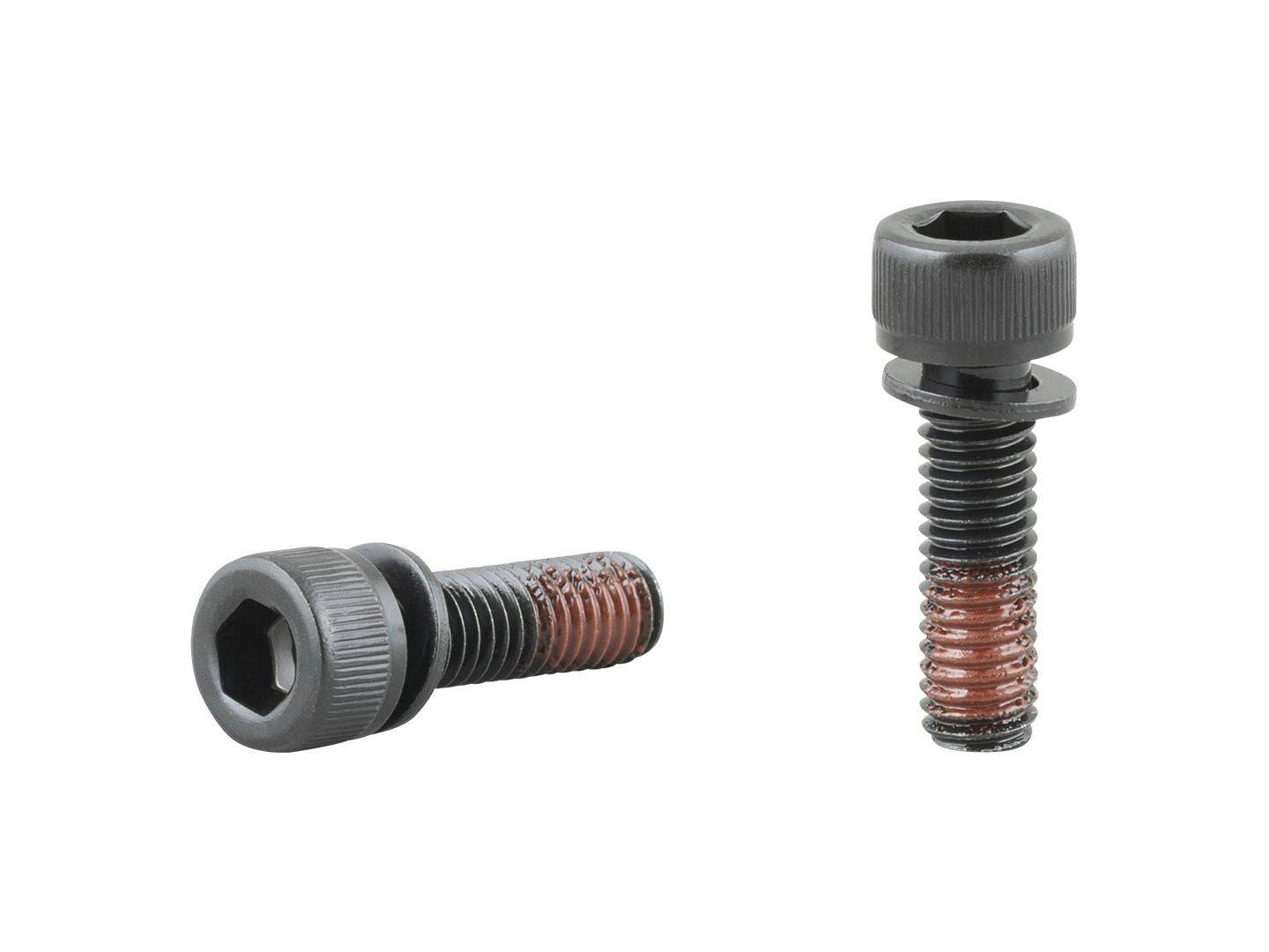 Trek Speed Concept black M6 flippable head bolts for bike frame components, 20mm length, shown on a bike frame.