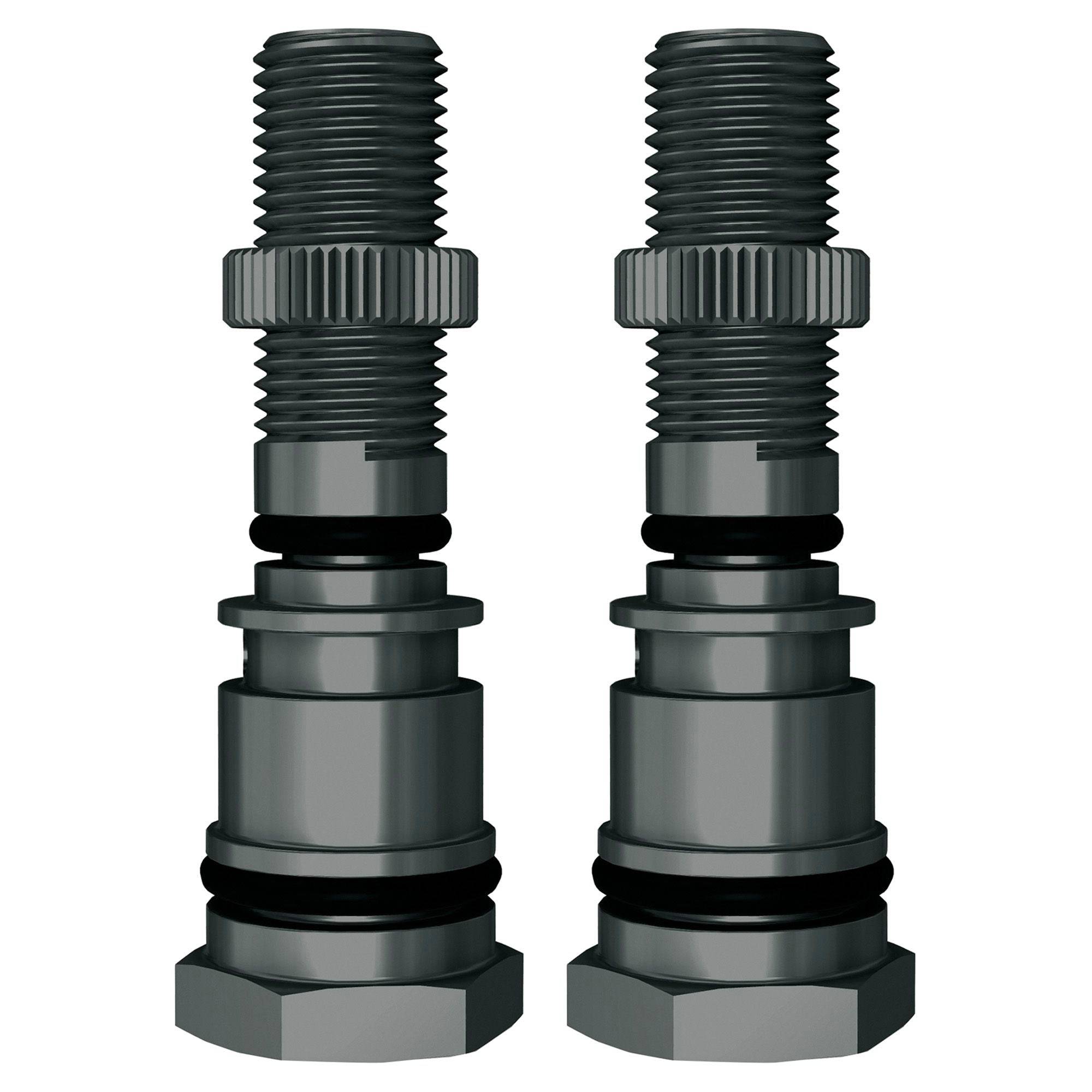 Pair of SKS Airspy replacement Schrader valves for bike pumps, durable bike pump accessories, shown in the image.