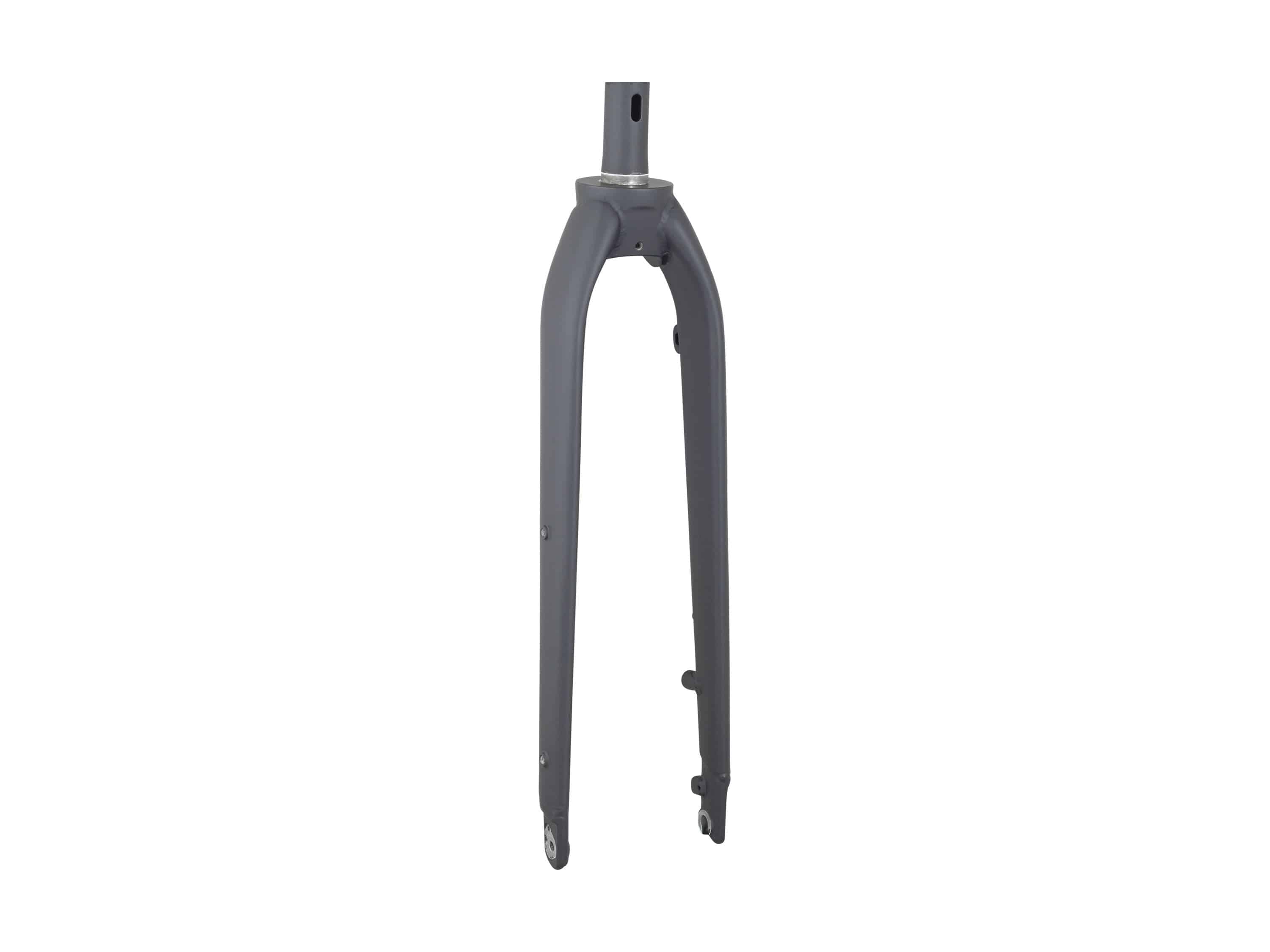 Black Trek Dual Sport 1 29-inch thru-axle rigid fork with 318mm length and 38mm offset, suitable for mountain bikes.