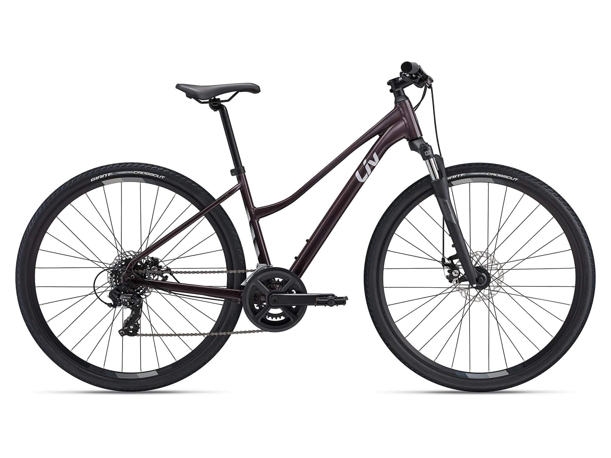 Liv Rove 4 hybrid bike for women with Shimano Tourney drivetrain and disc brakes, suitable for versatile riding.