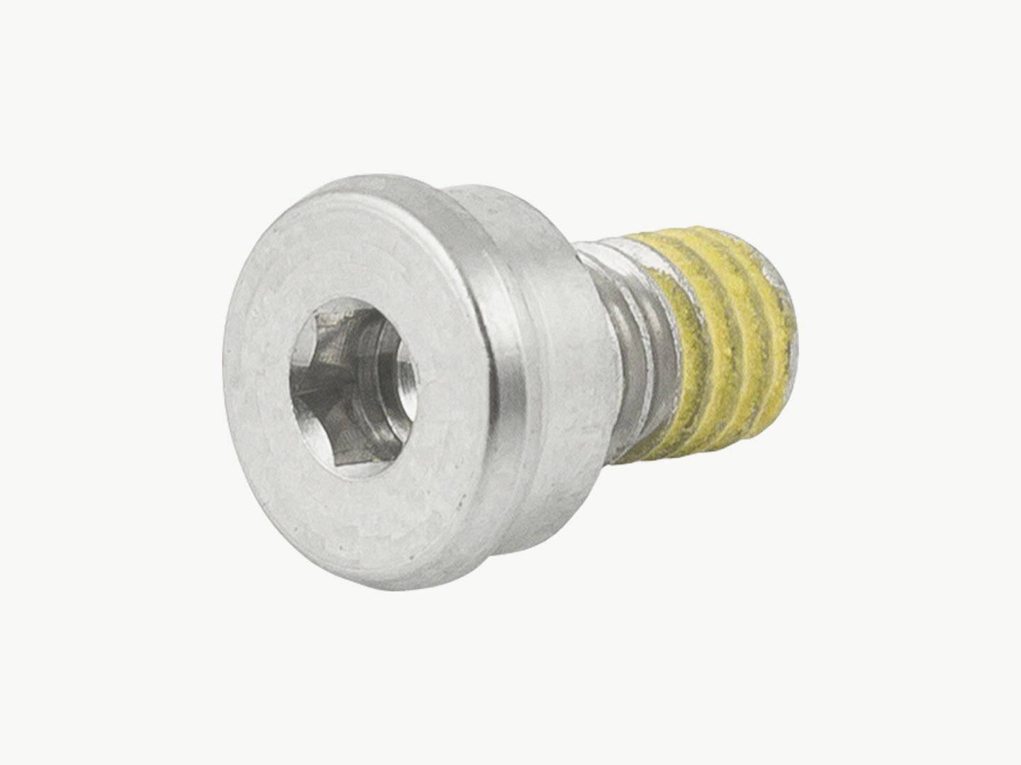 Black Trek Domane+ SLR motor cover bolt M4 x 6mm, replacement fastener for bike components, shown in close-up detail.