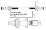 Freehub Body Service Kit for M21BT-R by Giant – Maintenance & Repair Kit