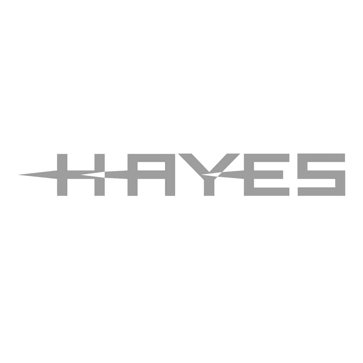 Hayes post mount adaptor for 160mm to 180mm rotors with titanium hardware, shown mounted on bicycle components.