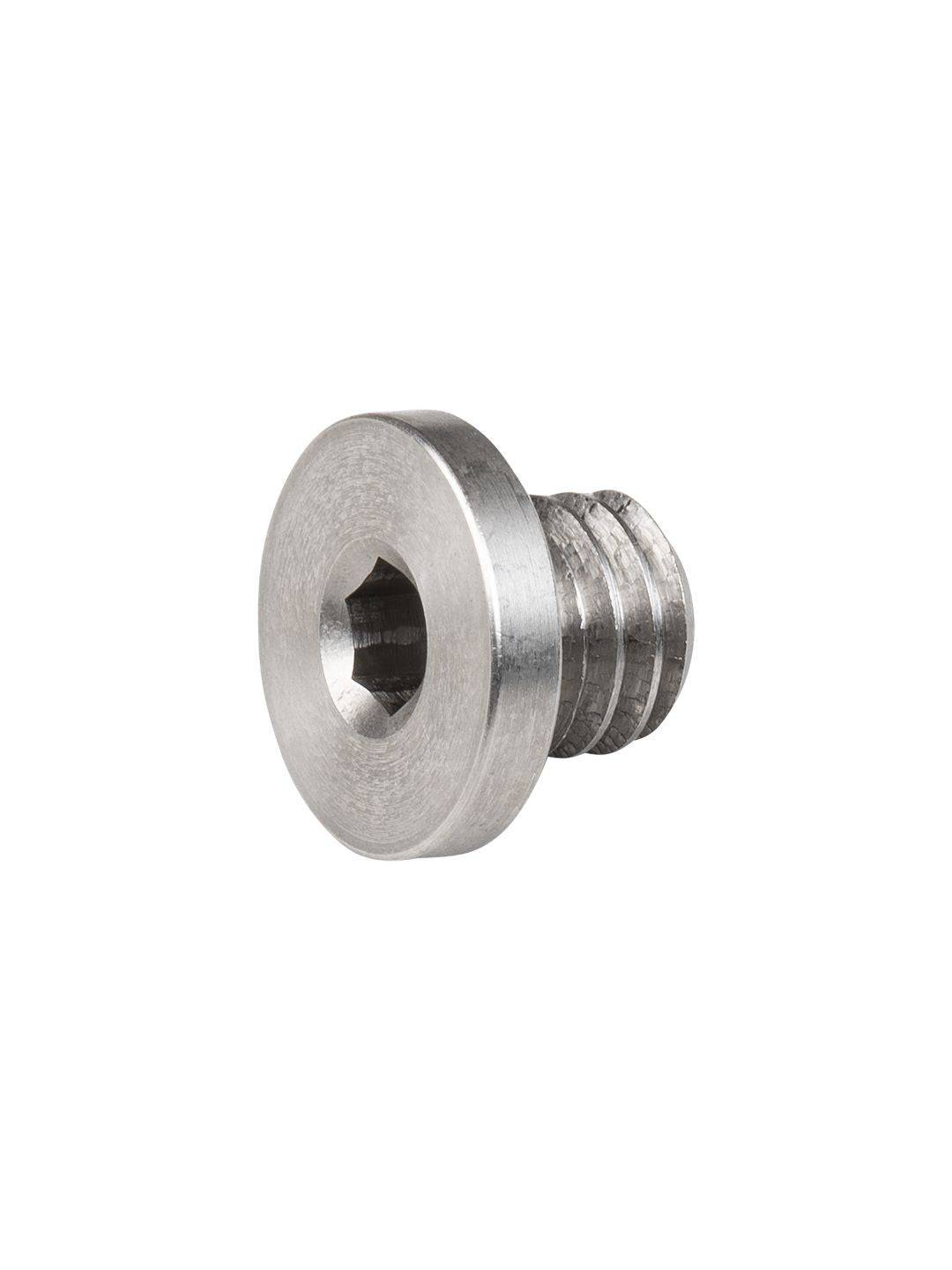 Trek derailleur hanger button head bolt in silver, 6mm x 4mm, for bike frame components, shown in close-up on a white background.