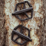 Look Trail Fusion flat MTB pedals with wide platform and replaceable pins, designed for mountain biking components.