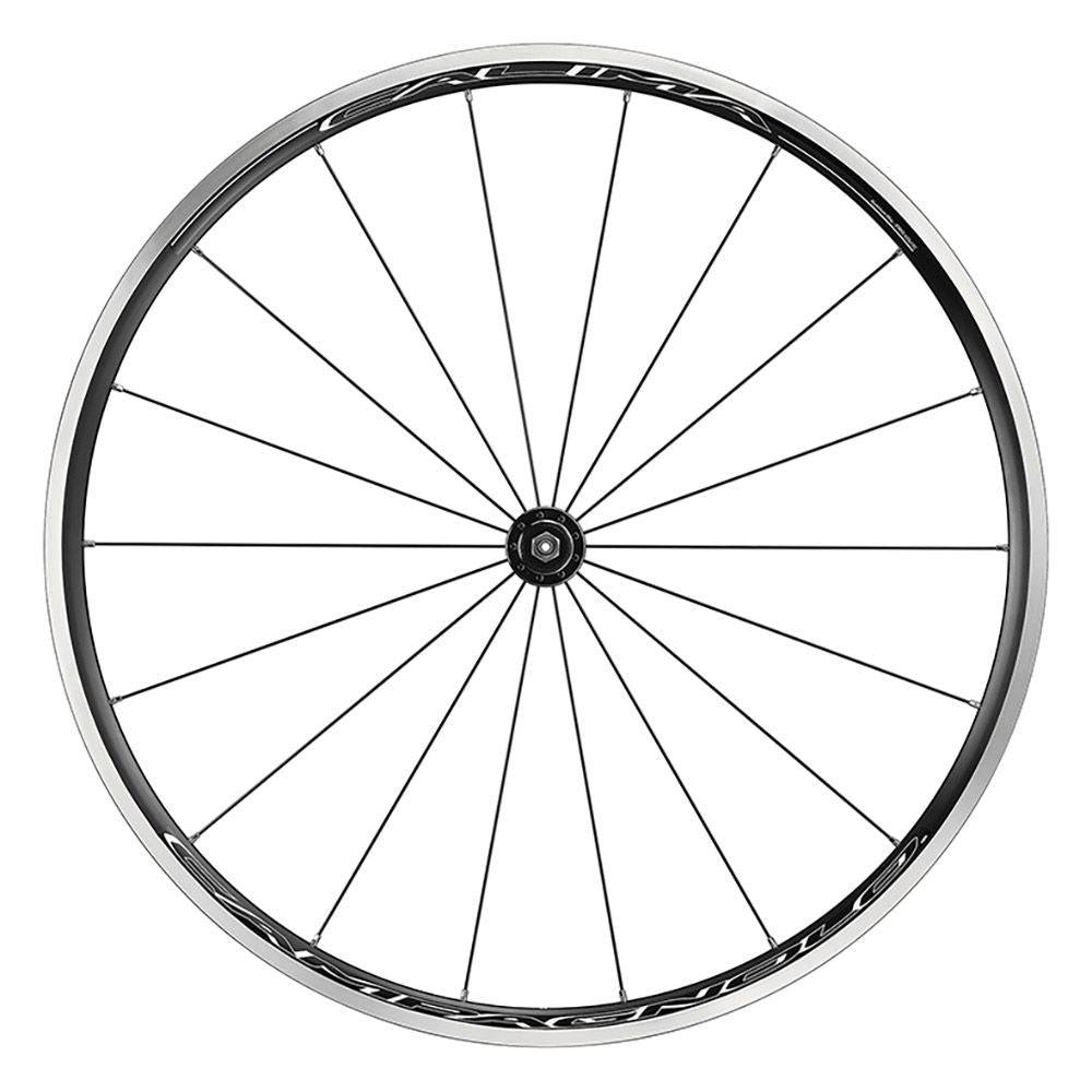 Campagnolo Wheels - Calima C17 Wheels | Swinnerton Cycles