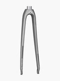 Trek Domane AL 2019 road bike forks in black, showing the lightweight aluminum construction and smooth steering design.