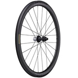 Miche Kleos 42 tubeless road disc brake wheel, high-performance cycling component with lightweight alloy rim and disc brake compatibility.