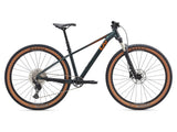 Liv Tempt 29 0 mountain bike with Shimano Deore M6100 drivetrain and 29-inch wheels, showing the frame and front suspension.