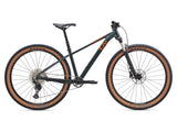 Liv Tempt 0 Mountain Bike