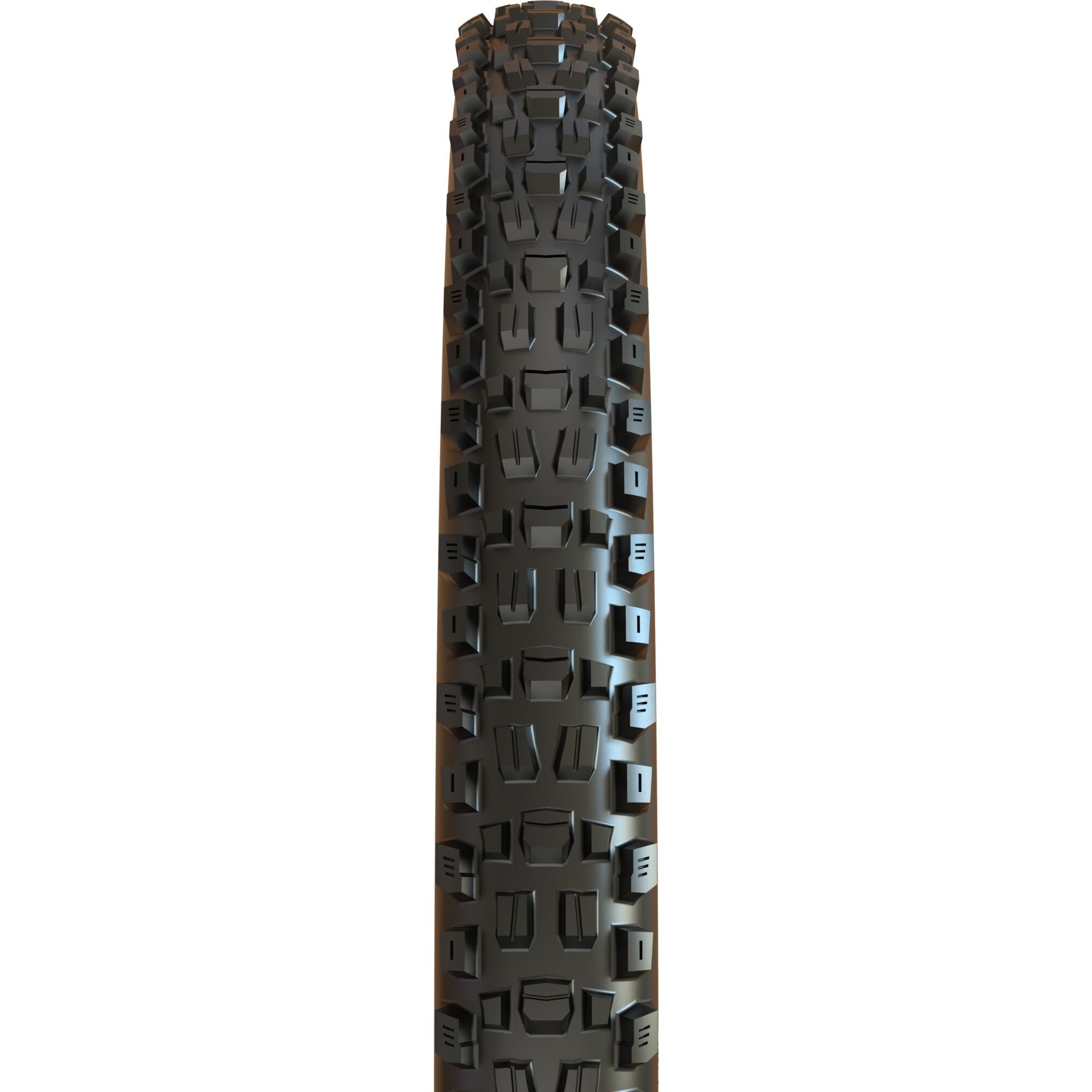 Maxxis Assegai 27.5 x 2.60 60 TPI Foldable Dual Compound EXO Tubeless Tyre