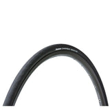 Panaracer Catalyst Wired Road Tyre showing tread pattern and sidewall for all-weather performance, durable grip, and traction.