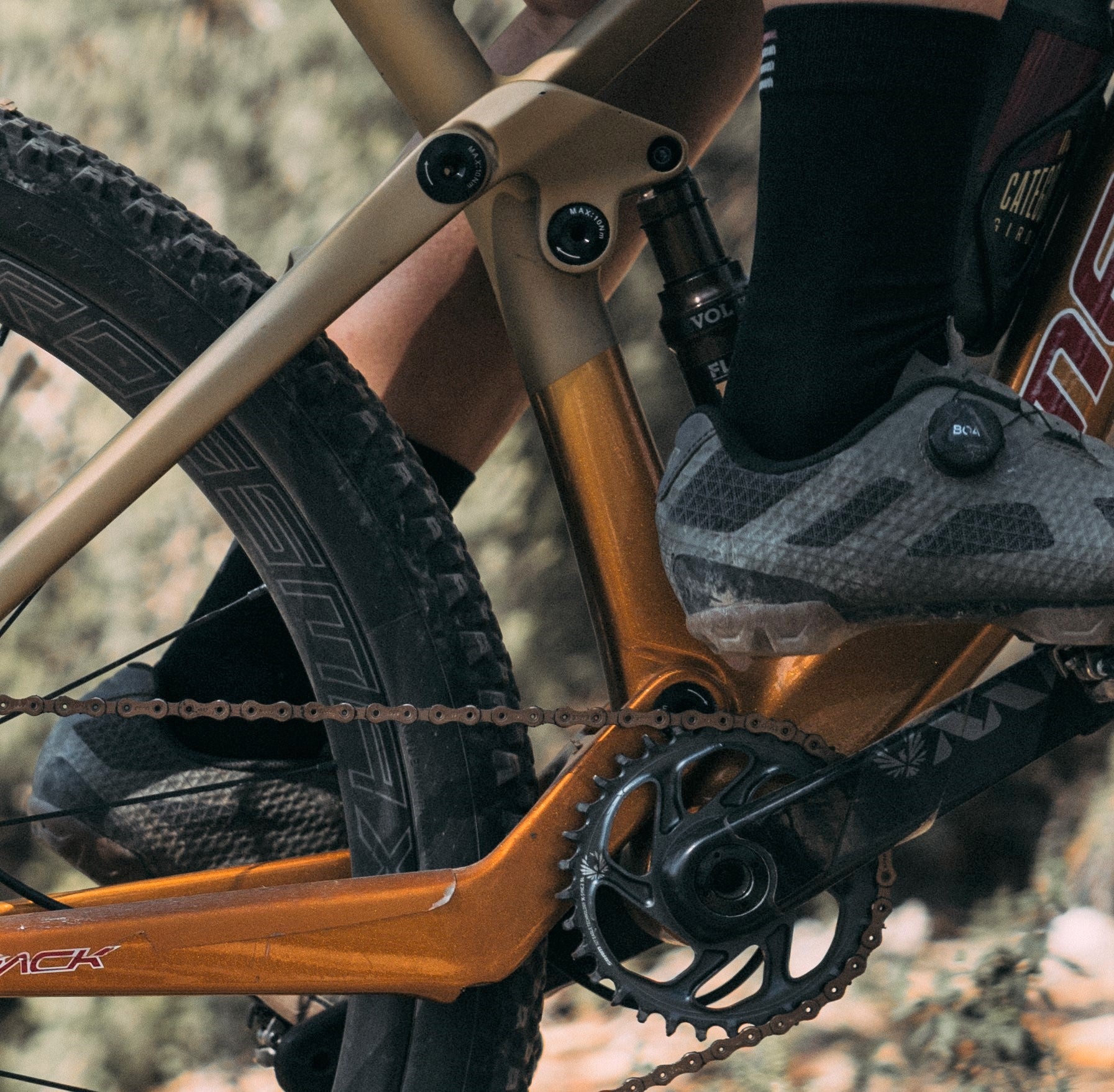 CeramicSpeed CeramicSpeed OPD SLT Pivot Bearing Kit Canyon Lux