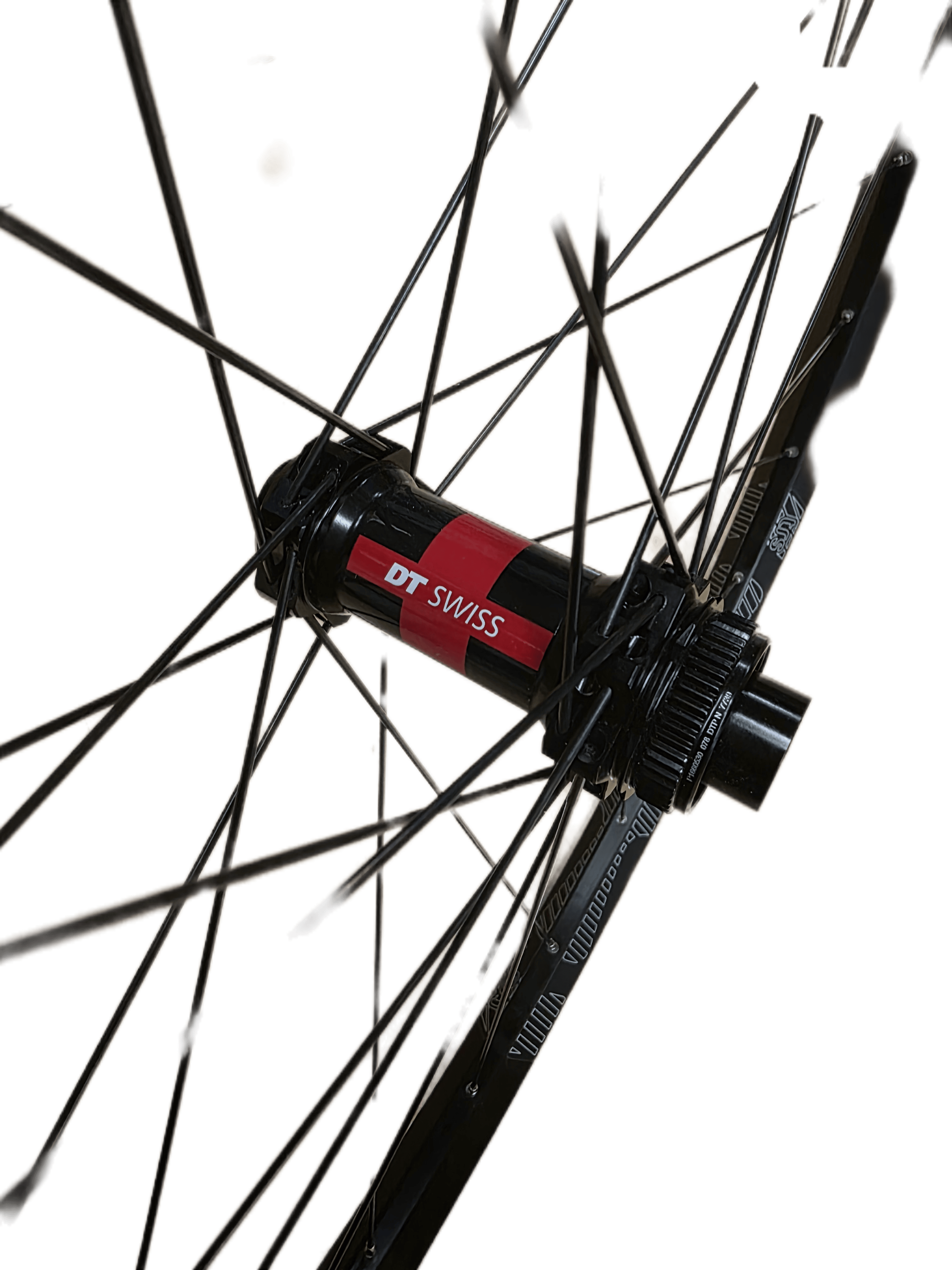 eThirteen TRS 29er 28h Rim on DT Swiss 240 SP Hub - Front Wheel | Swinnerton Cycles