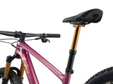 Liv Pique Advanced 29 0 Mountain Bike