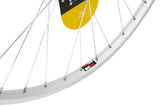 KX MTB 26-inch rear singlewall screw-on wheel rim with solid axle, 36H, suitable for mountain biking.