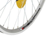 Silver KX Economy 26-inch MTB double wall rim with 36 spokes for rim brake wheels, designed for durable off-road cycling.
