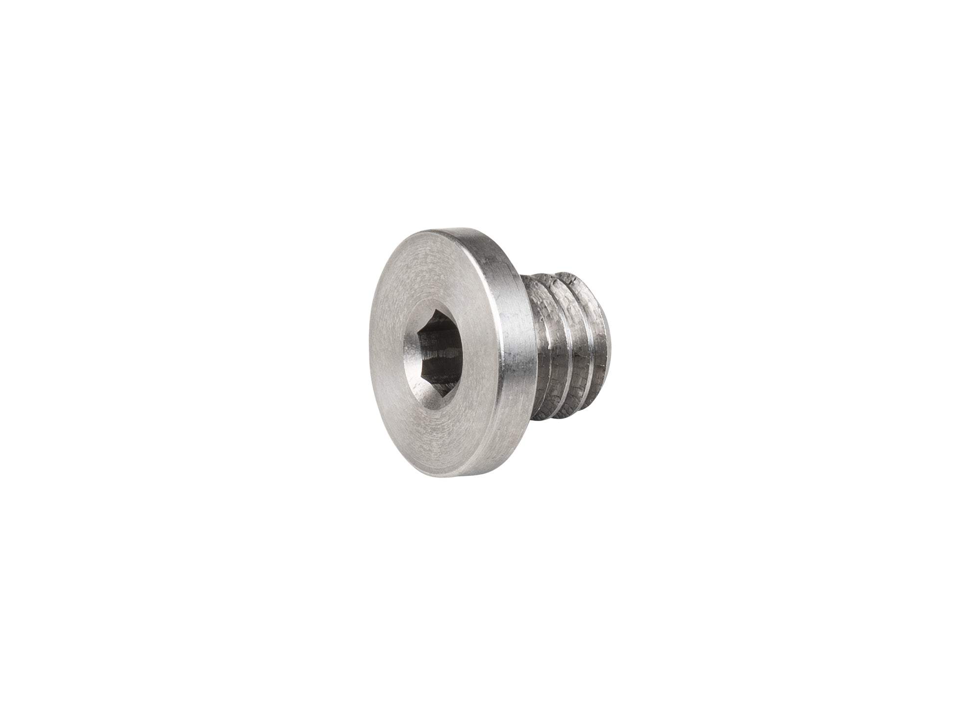 Trek derailleur hanger button head bolt in silver, 6mm x 4mm, for bike frames, close-up of the small component on a bicycle.