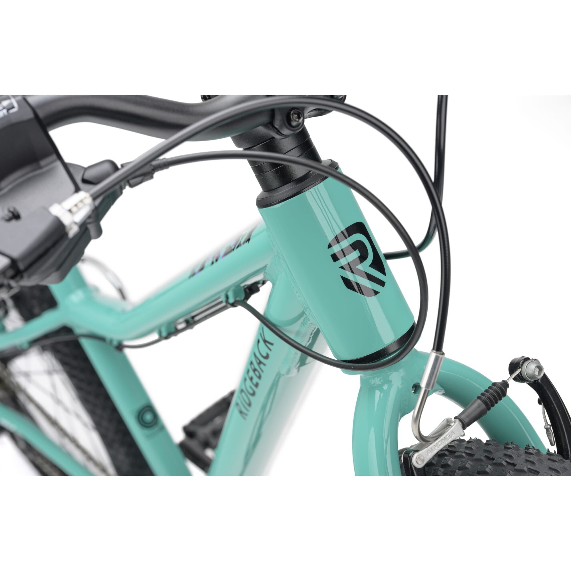 Ridgeback MX24 Kids Bike