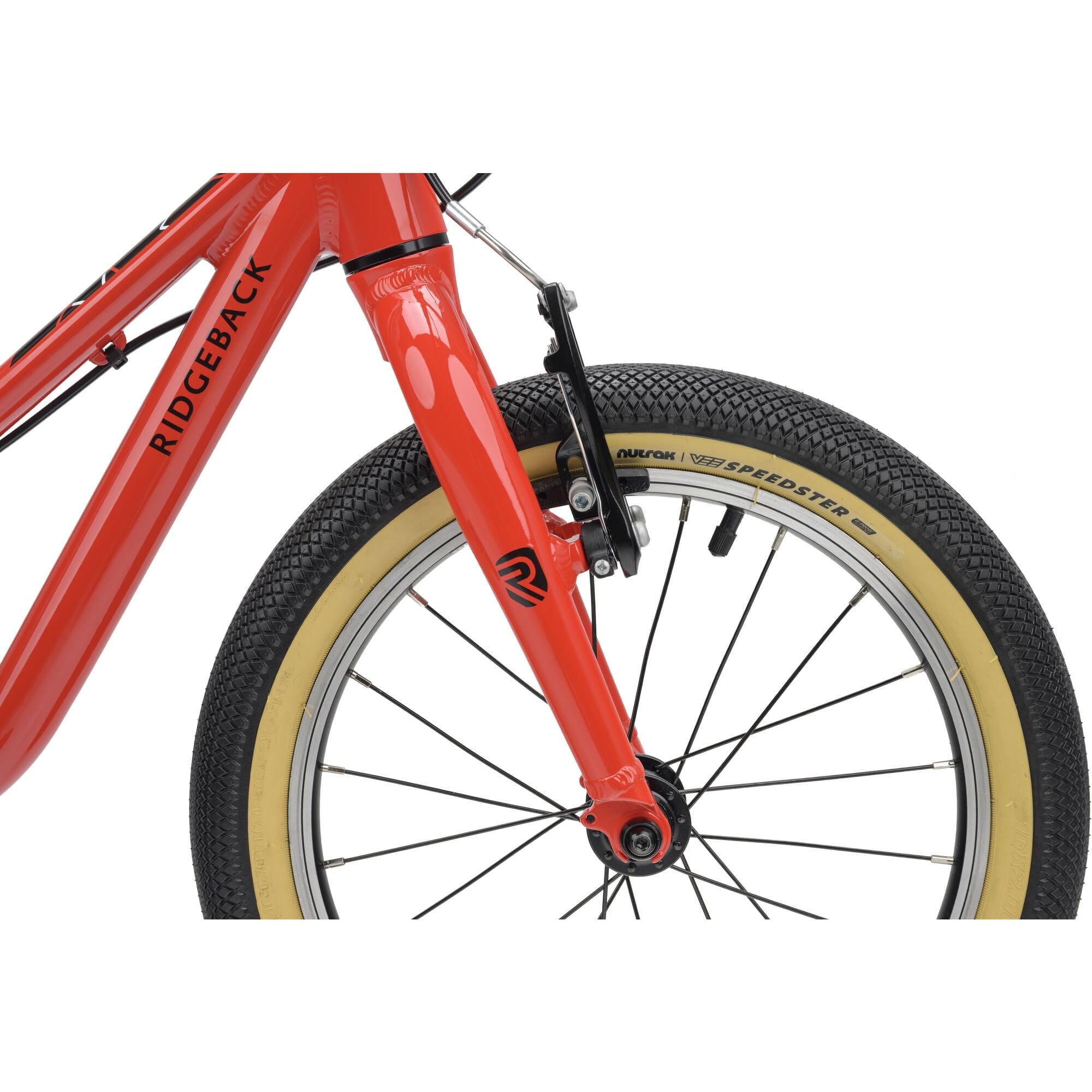 Red Ridgeback Dimension 16 kids bike with adjustable lightweight frame, suitable for ages 3.5 to 6 years, close-up detail image.
