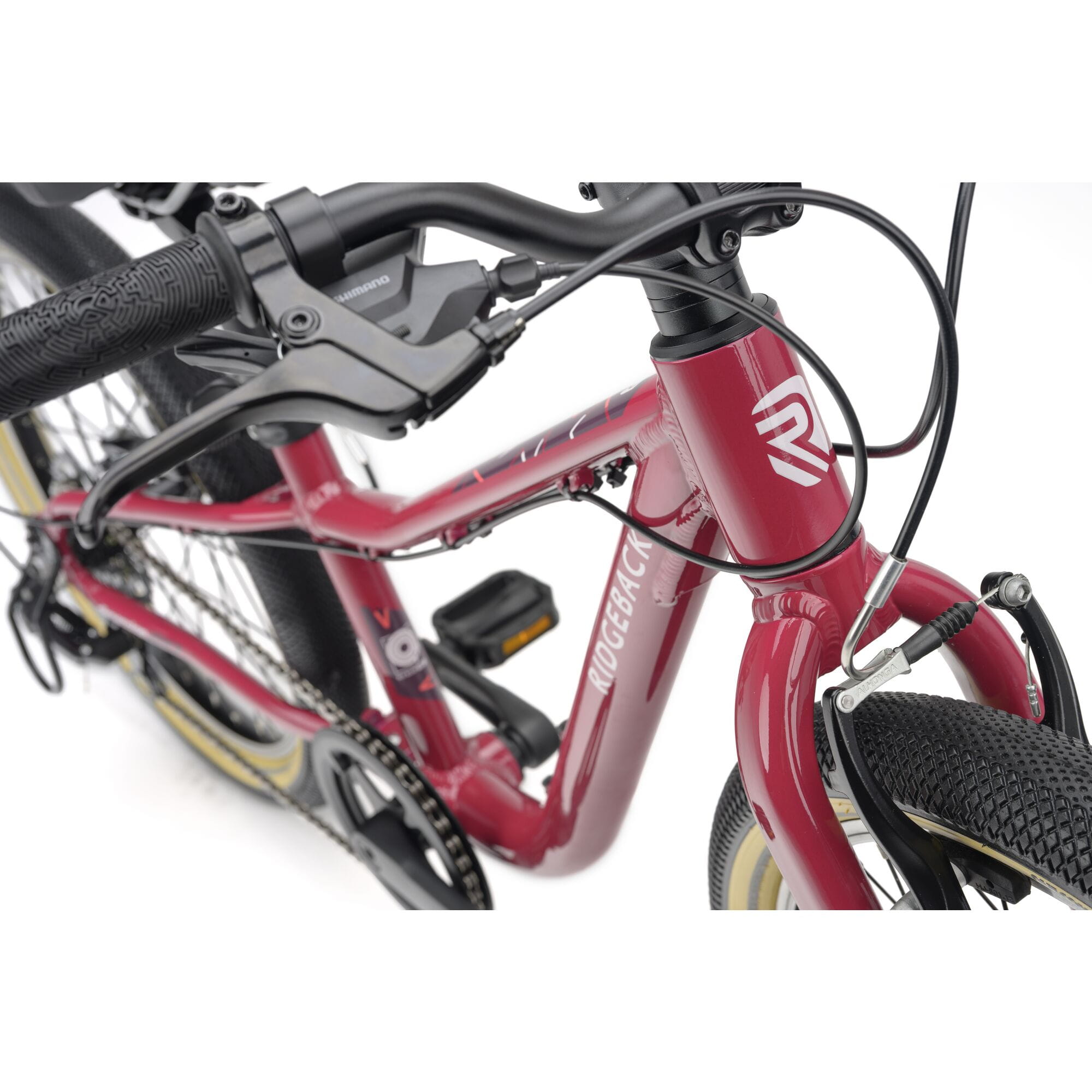 Ridgeback Dimension 20 Kids Bike with plum frame and 7-speed Shimano gears for children aged 5 and up, detailed view of the bike frame.