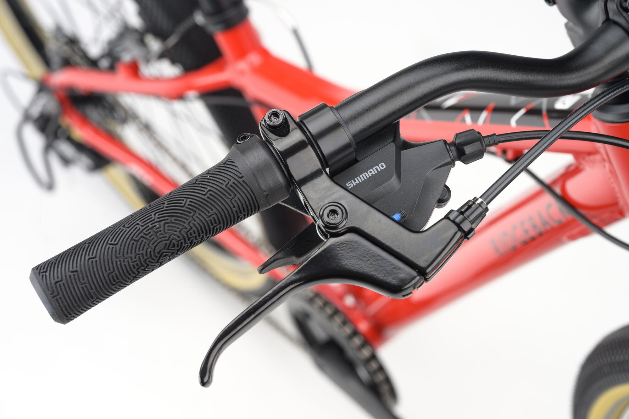 Red Ridgeback Dimension 24 kids bike with 8-speed Shimano gears, puncture-resistant tires, and adjustable fit for children 8+.