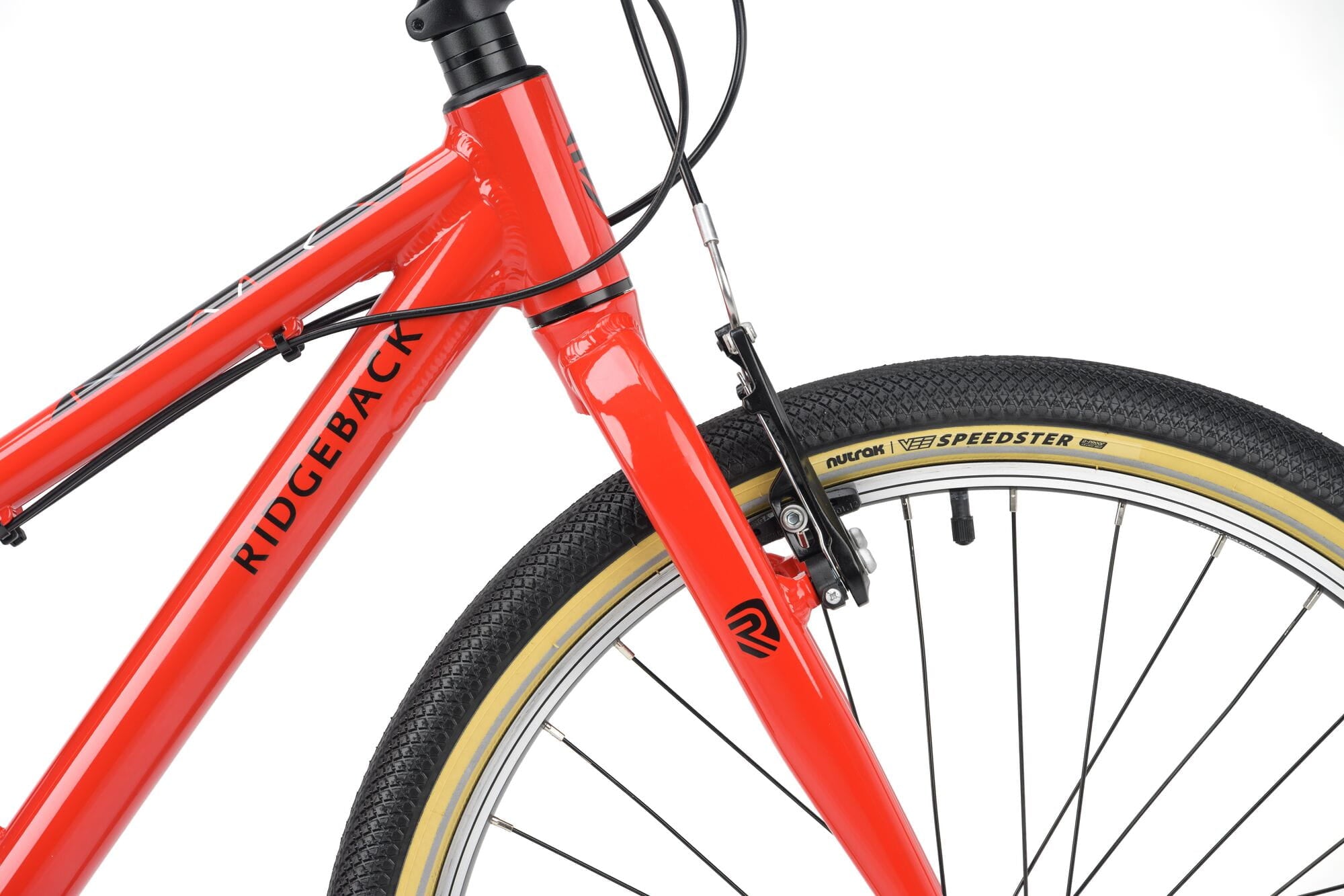 Ridgeback Dimension 24 kids bike in red with 8-speed Shimano gears, puncture-resistant tires, and adjustable fit for ages 8+.