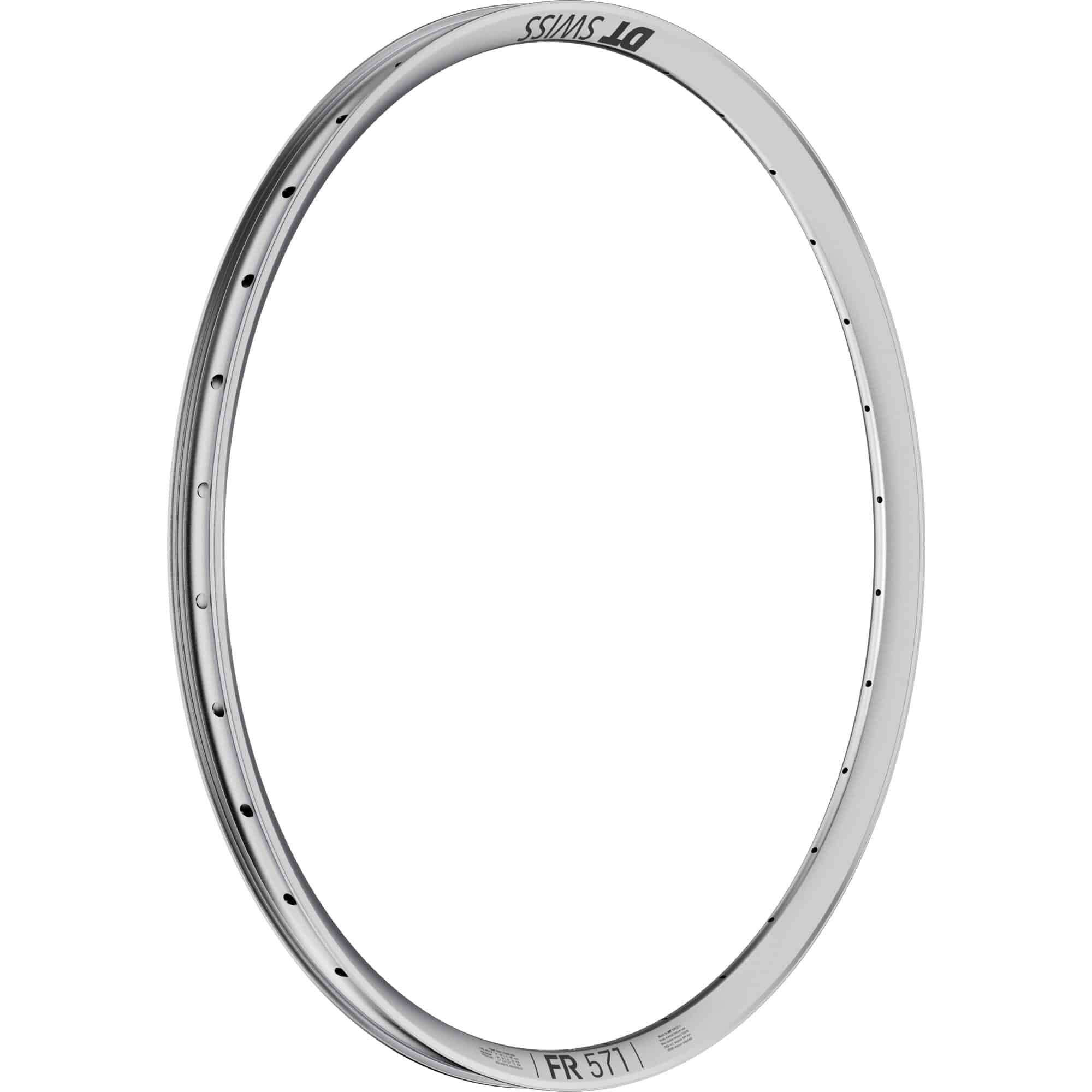 Silver DT Swiss FR 571 SBWT 29-inch disc-specific rim with 32 holes and Presta-drilled holes for mountain bike components.