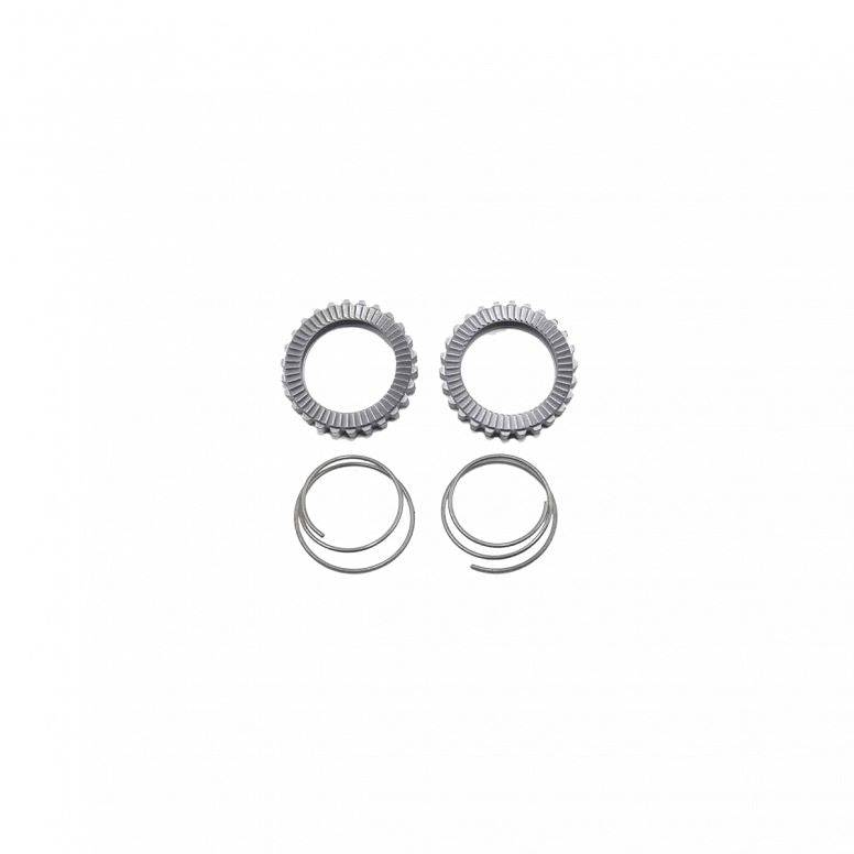 Fast Forward Ratchet/spring Kit 36t | Swinnerton Cycles