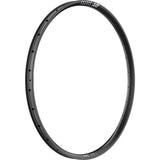 DT Swiss XRC 310 Carbon disc-specific 28 hole Presta-drilled black - 29"